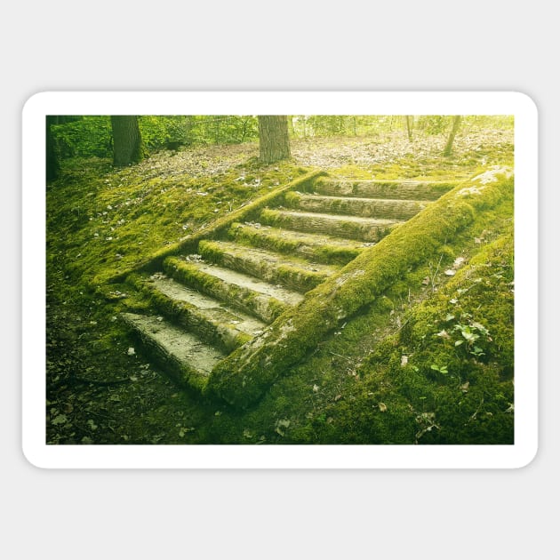 green moss stair steps Sticker by psychoshadow